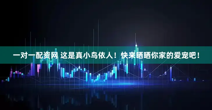 一对一配资网 这是真小鸟依人！快来晒晒你家的爱宠吧！