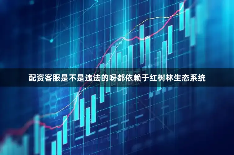 配资客服是不是违法的呀都依赖于红树林生态系统
